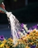 Landscaping Insurance, Rockland, Maine